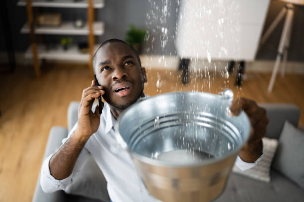 Best Local water damage restoration  in Lake Waynoka, OH