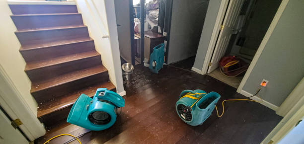 Best Water damage restoration near me  in Lake Waynoka, OH