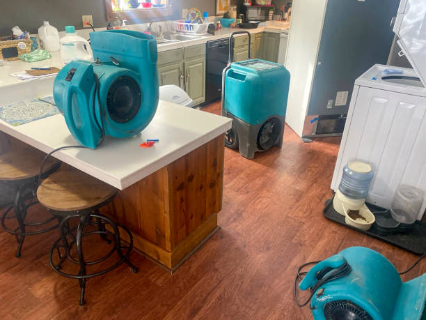 Trusted Lake Waynoka, OH Water damage restoration Experts