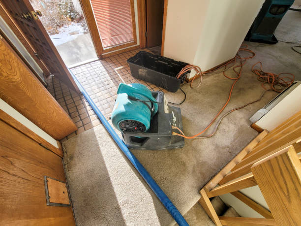 Best Water damage restoration near me  in Lake Waynoka, OH