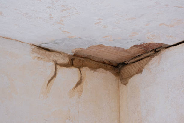 Best Mold removal after water damage  in Lake Waynoka, OH