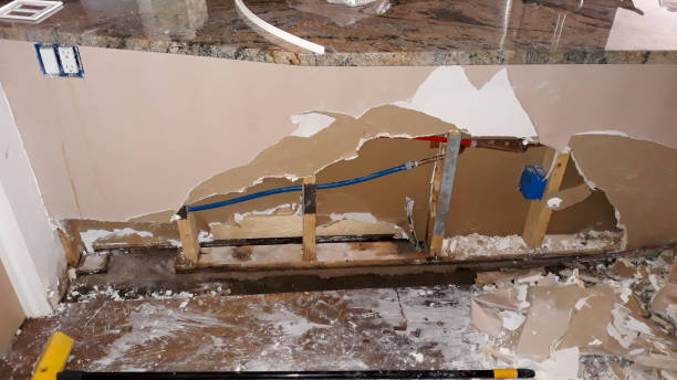 Best Professional water damage repair  in Lake Waynoka, OH