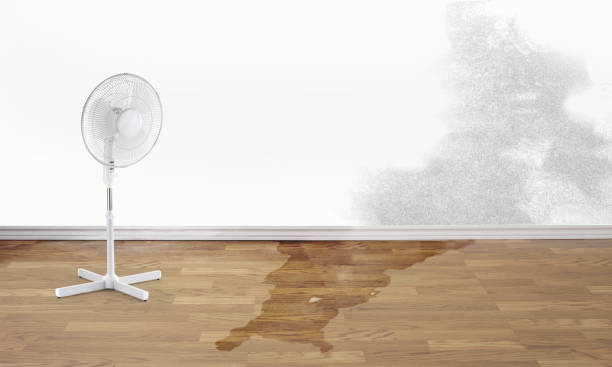 Professional Water damage restoration in Lake Waynoka, OH