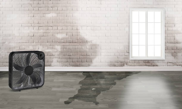 Best Emergency water damage restoration  in Lake Waynoka, OH