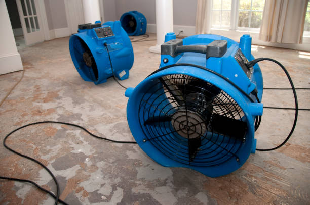 Best 24-hour water damage restoration  in Lake Waynoka, OH