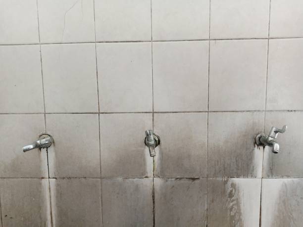Best Water damage restoration services  in Lake Waynoka, OH