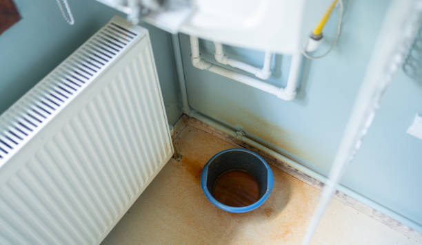 Best Professional water damage repair  in Lake Waynoka, OH