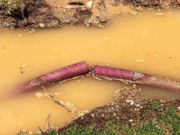 Water damage restoration mold remediation in Lake Waynoka, OH