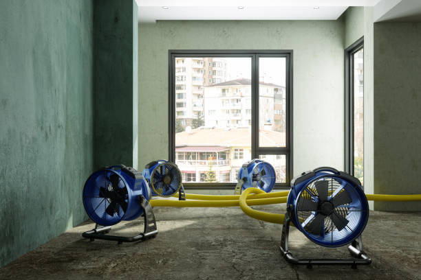 Best Residential water damage restoration  in Lake Waynoka, OH