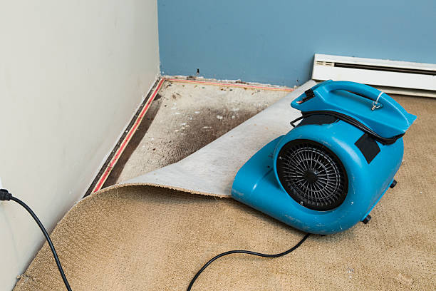 Best Flood damage cleanup  in Lake Waynoka, OH